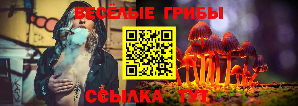 Галлюциногенные грибы Psilocybine cubensis  Вход с VPN  хочу наркоту  Клин  Галлюциногенные грибы Magic Shrooms 
