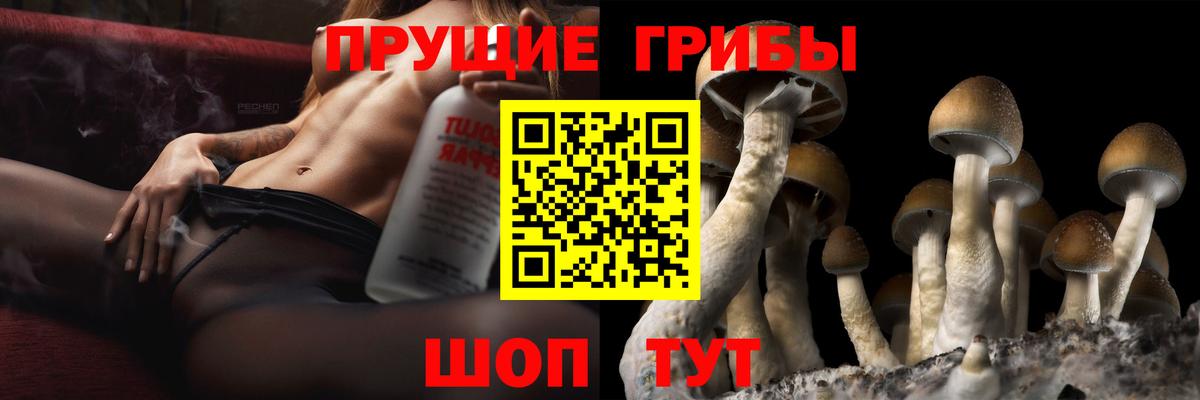 Псилоцибиновые грибы Cubensis Клин
